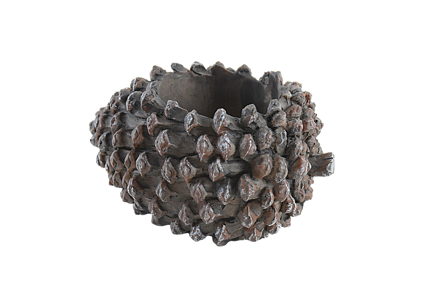 Pine Fruit Resin Succulent Pot - Deczo