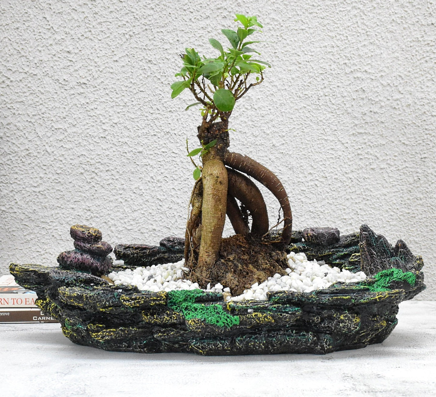 Stone look Bonsai Planter Pot