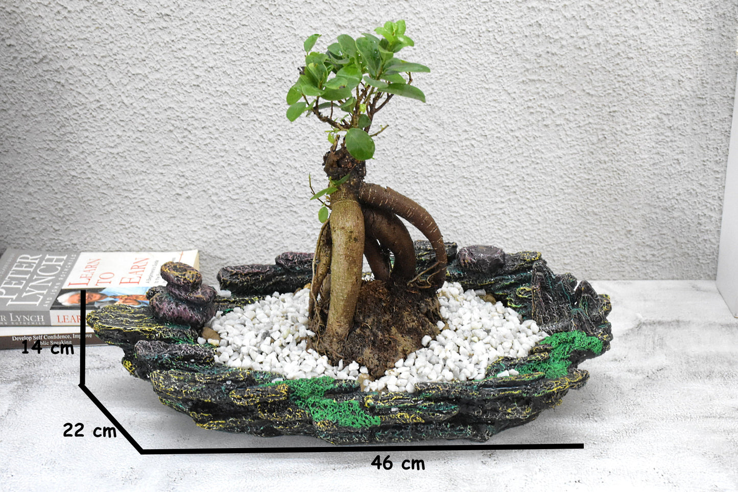 Stone look Bonsai Planter Pot