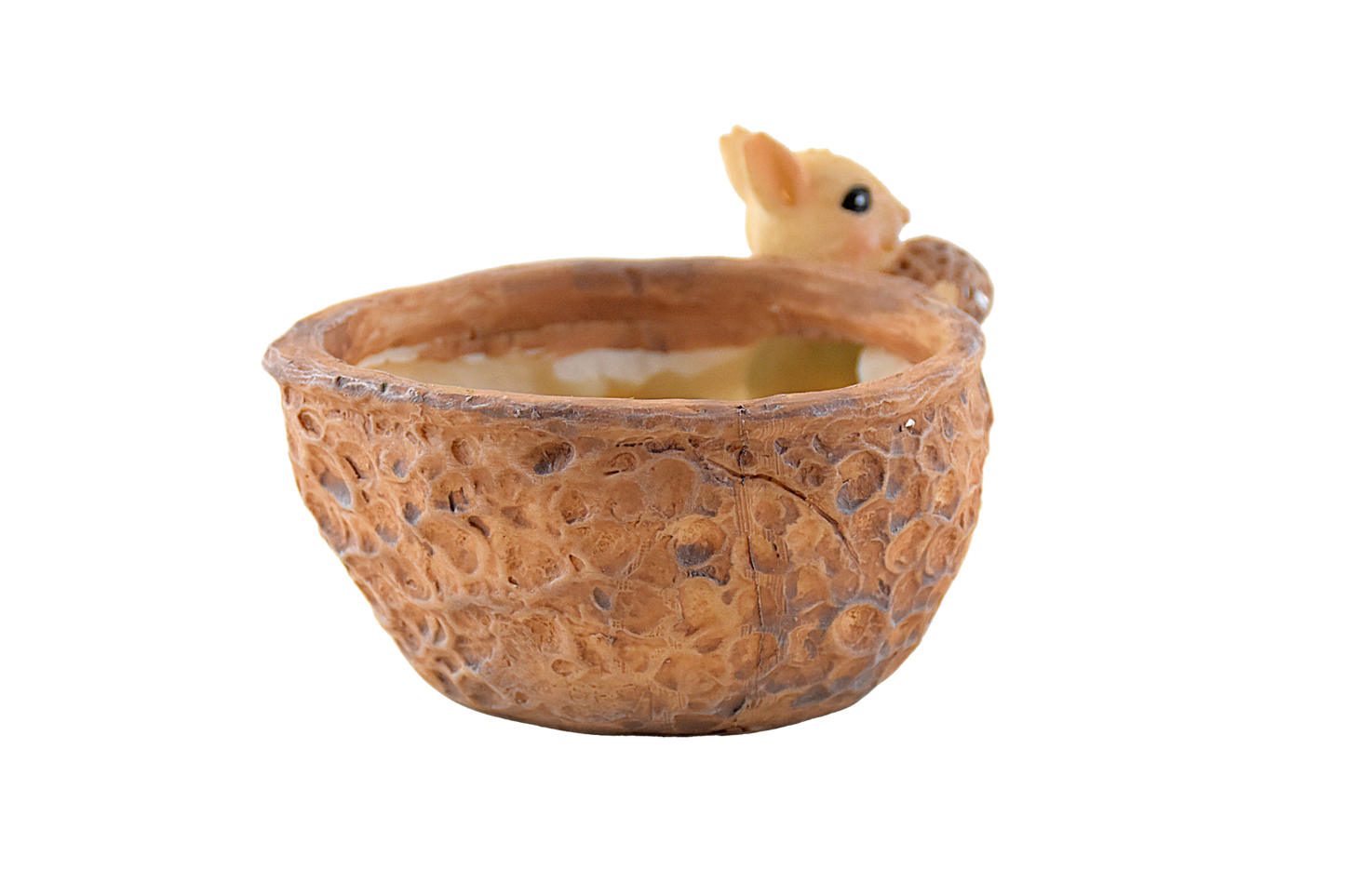 Squirrel Eating Walnut Resin Pot for Succulents - Deczo
