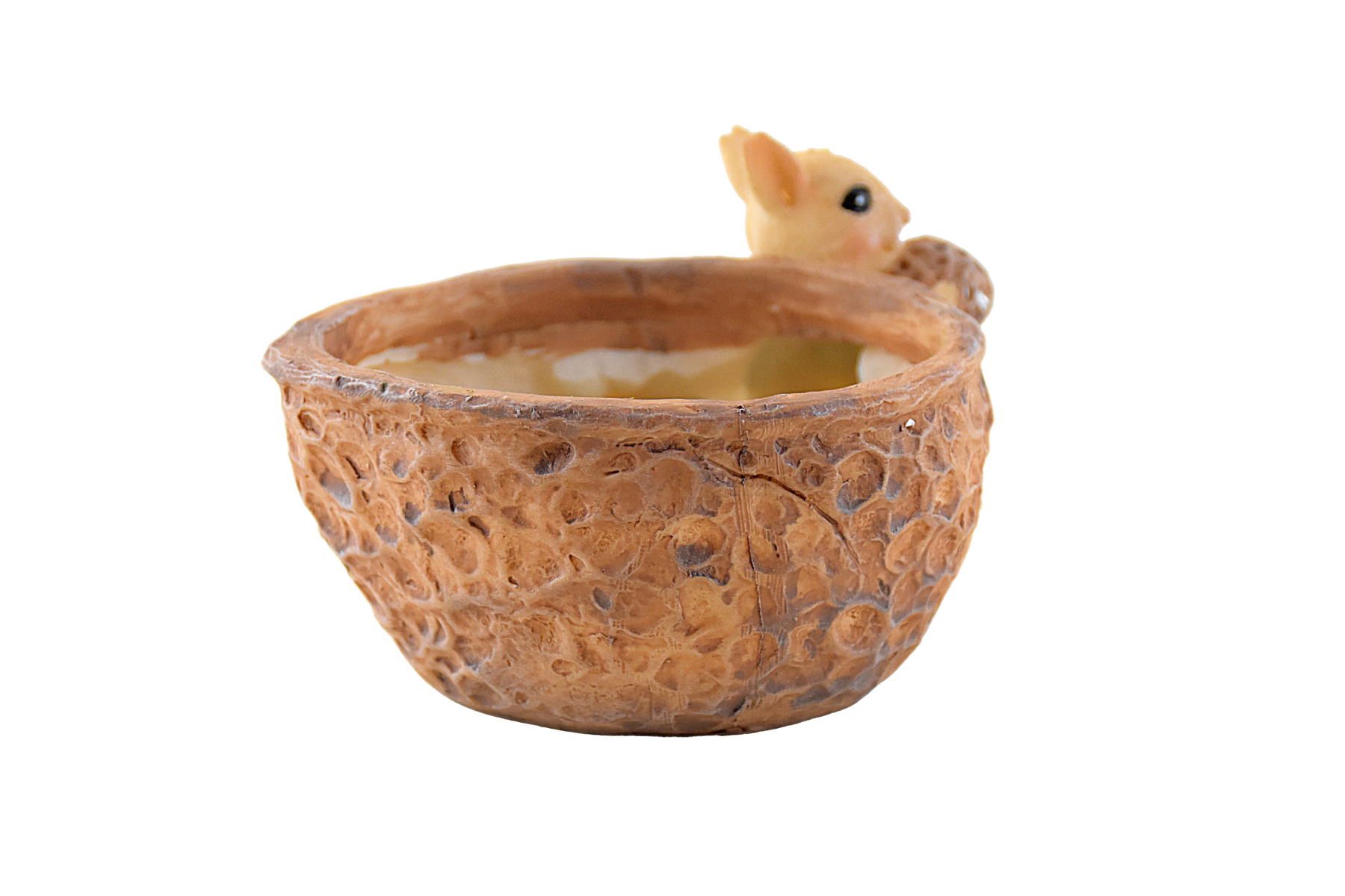 Squirrel Eating Walnut Resin Pot for Succulents - Deczo