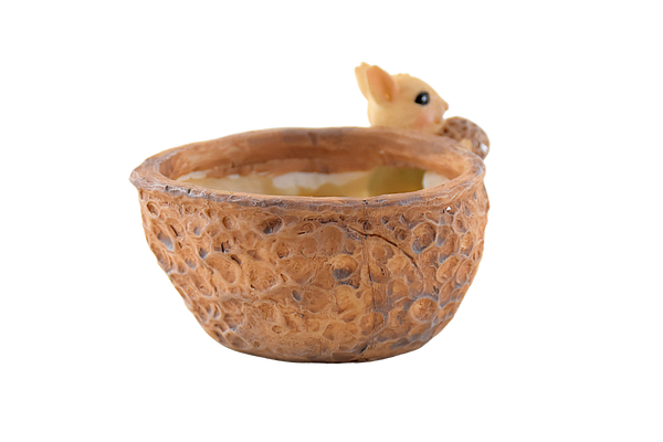 Squirrel Eating Walnut Resin Pot for Succulents - Deczo