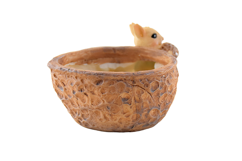 Squirrel Eating Walnut Resin Pot for Succulents - Deczo