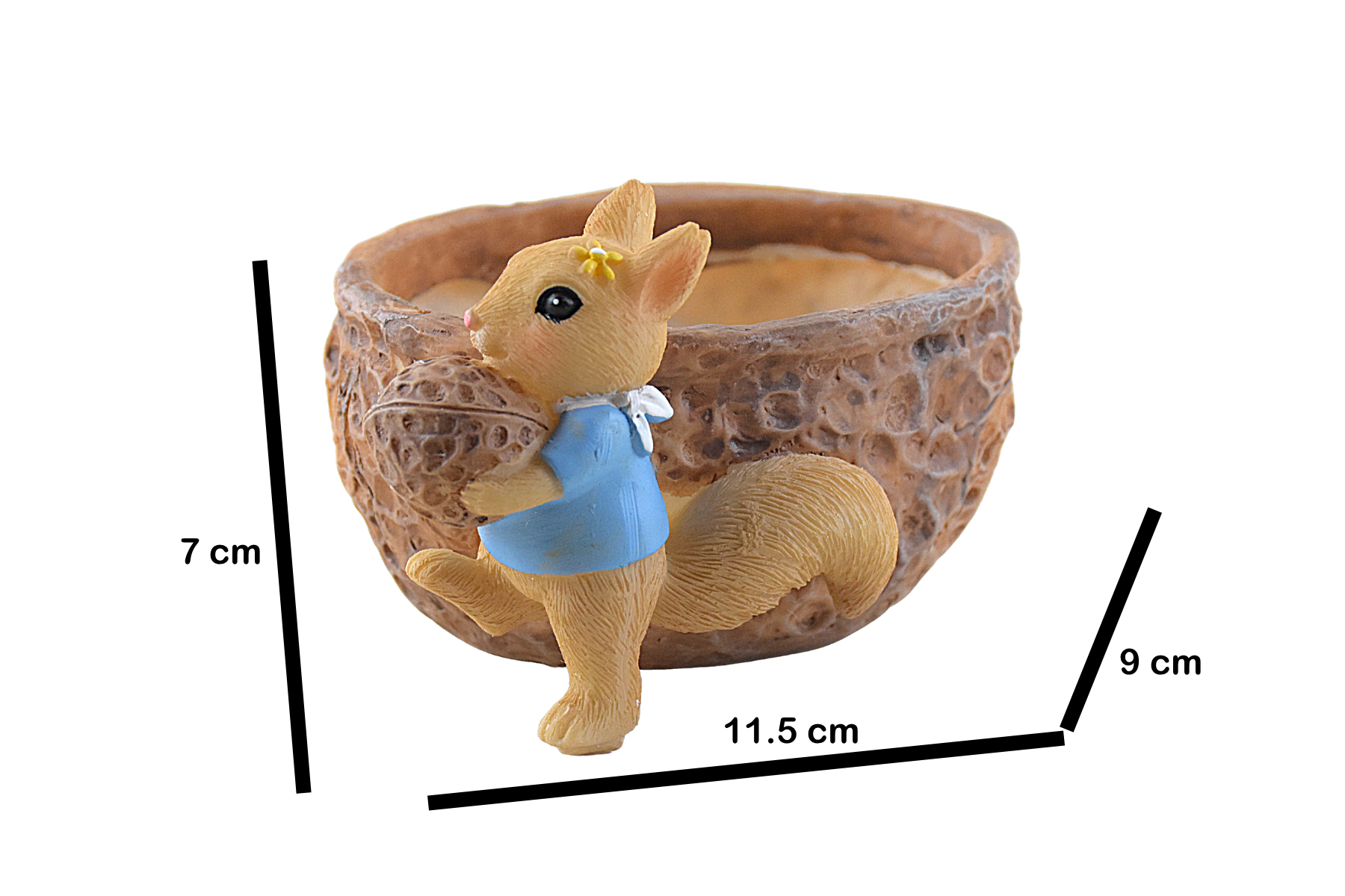 Squirrel Eating Walnut Resin Pot for Succulents - Deczo