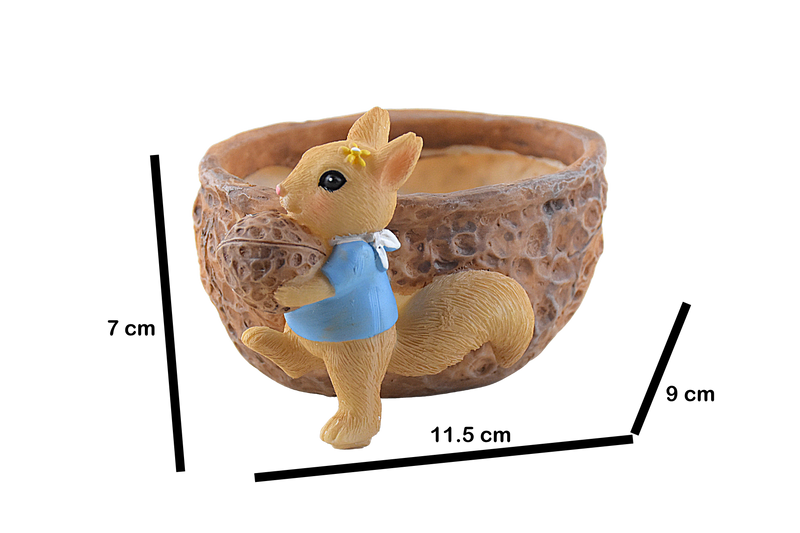Squirrel Eating Walnut Resin Pot for Succulents - Deczo