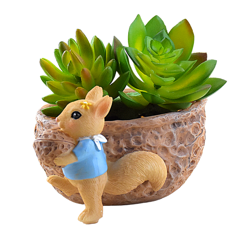 Squirrel Eating Walnut Resin Pot for Succulents - Deczo