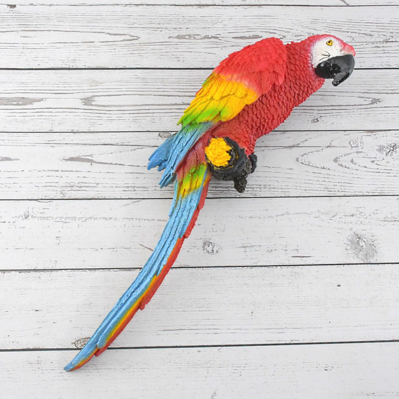 Macaw Parrot - Deczo