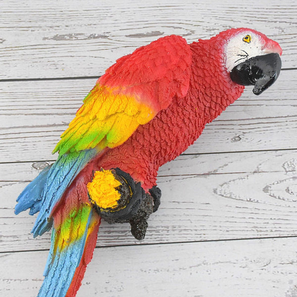 Macaw Parrot - Deczo