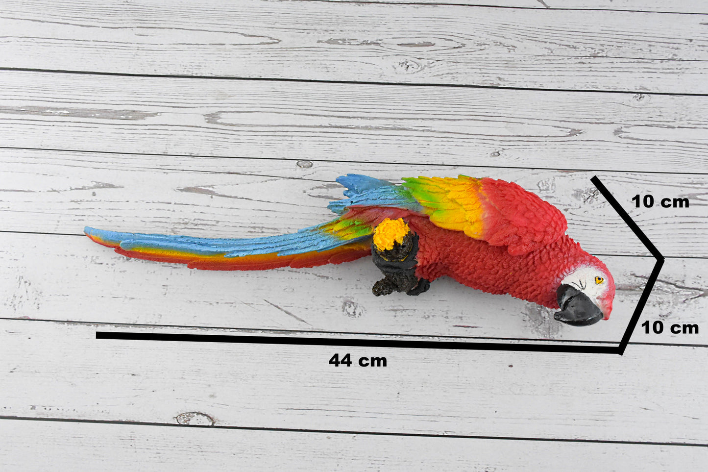 Macaw Parrot - Deczo