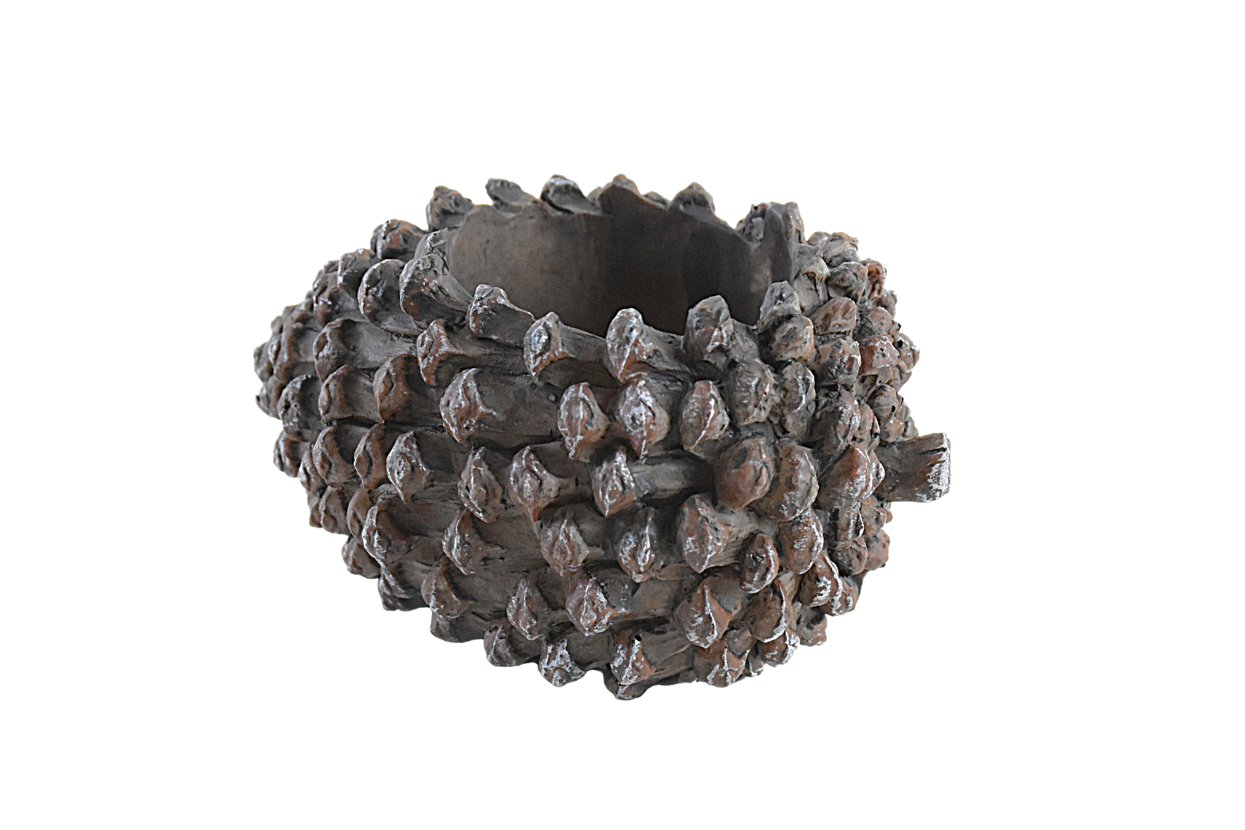 Pine Fruit Resin Succulent Pot - Deczo