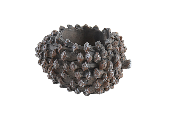 Pine Fruit Resin Succulent Pot - Deczo