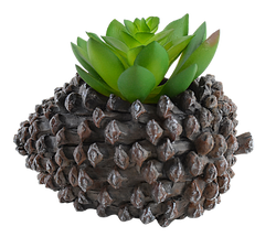 Pine Fruit Resin Succulent Pot - Deczo