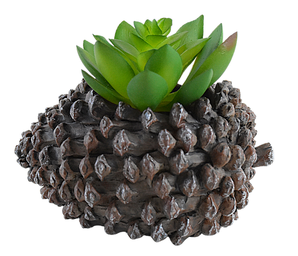 Pine Fruit Resin Succulent Pot - Deczo