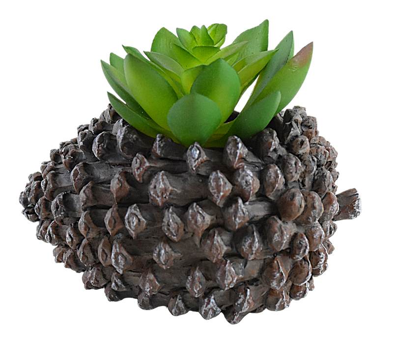 Pine Fruit Resin Succulent Pot - Deczo