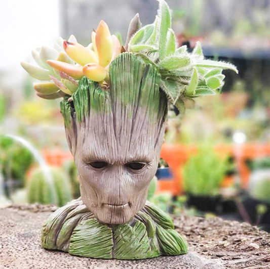 Adult Groot Succulent Planter Pot/Pen Pot - Deczo