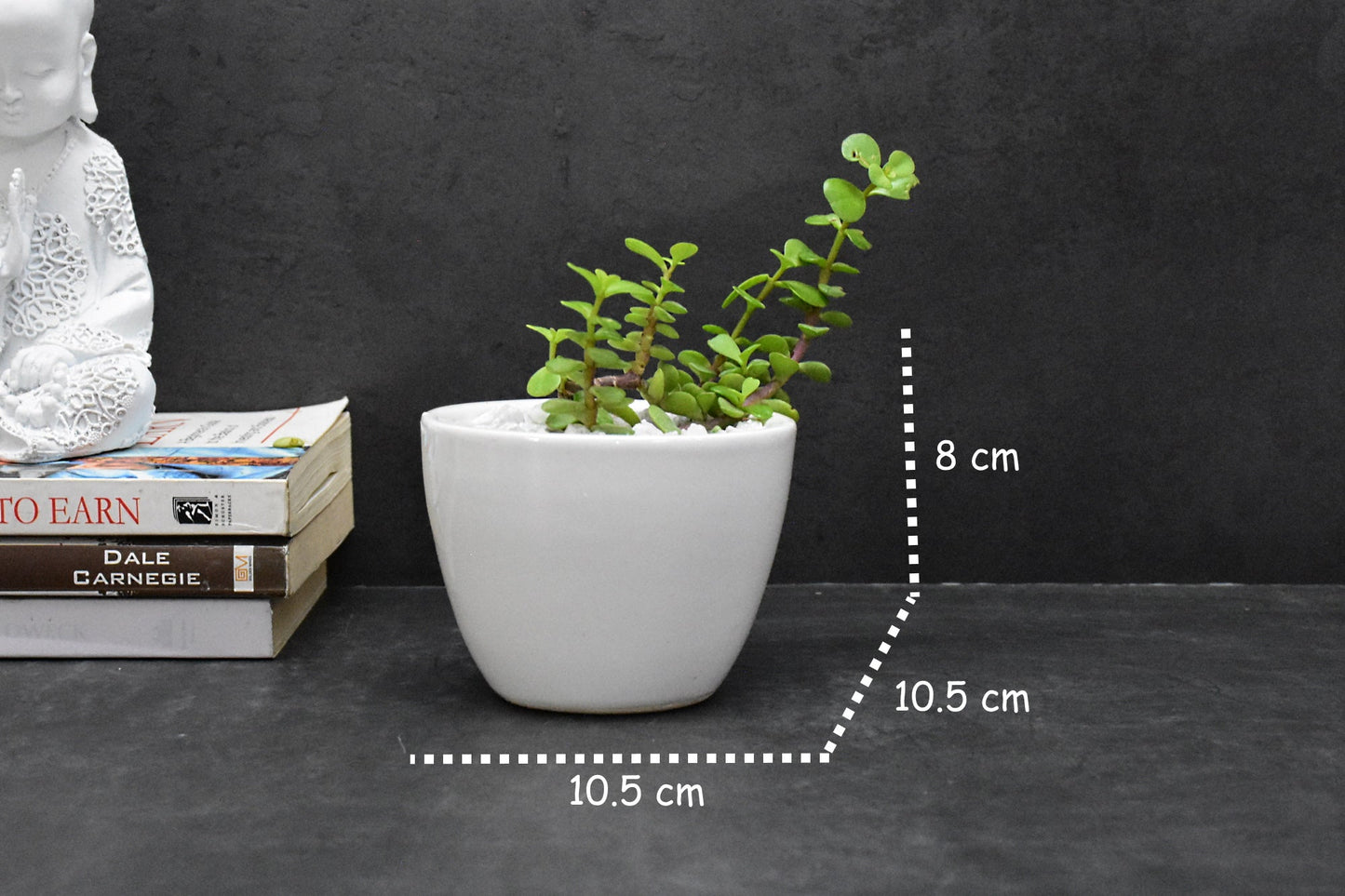 Set of 2 Ceramic Planter Pots for Indoor Outdoor, Gift : (10.5x10.5x8 CM ,White)