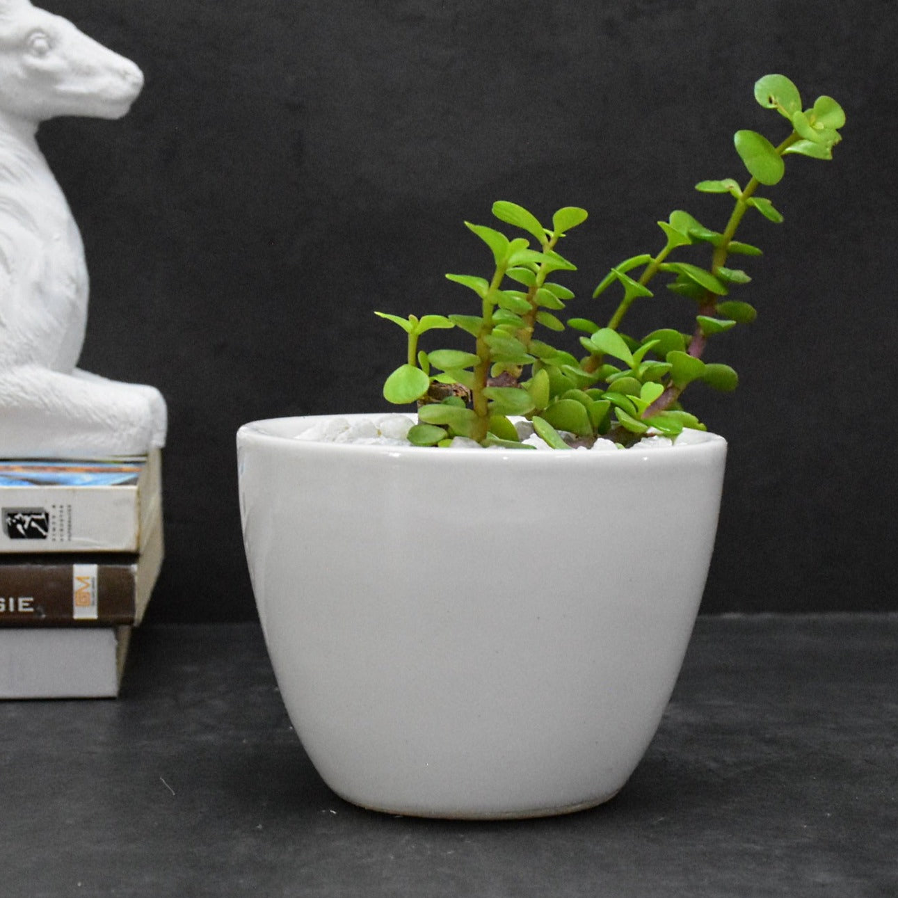 Set of 2 Ceramic Planter Pots for Indoor Outdoor, Gift : (10.5x10.5x8 CM ,White)