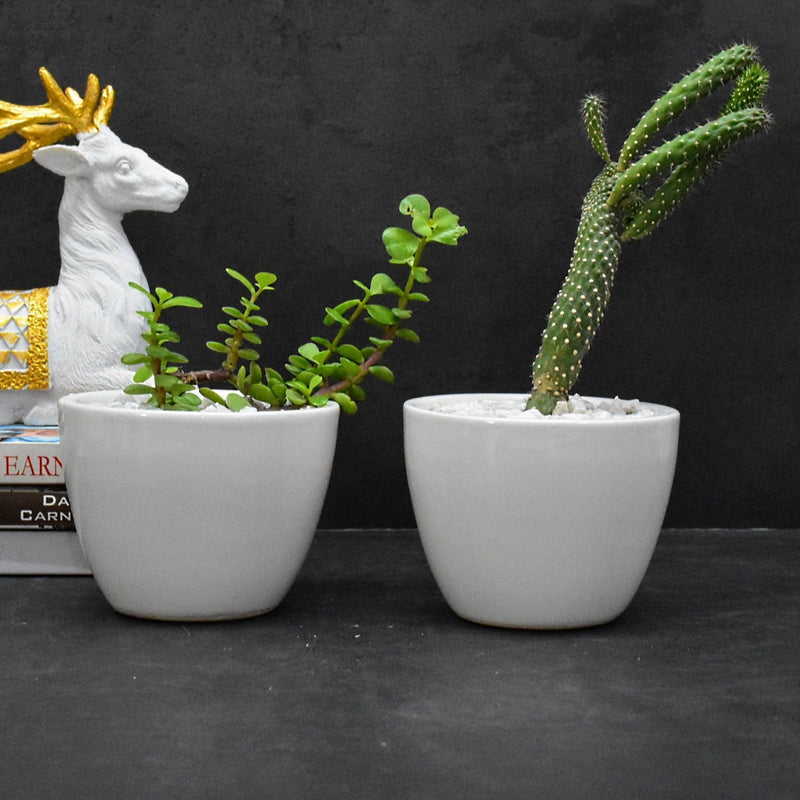 Set of 2 Ceramic Planter Pots for Indoor Outdoor, Gift : (10.5x10.5x8 CM ,White)