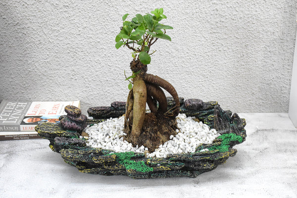 Stone look Bonsai Planter Pot
