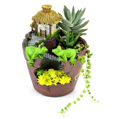 Antique Look Hut with Frogs on the Wall Design Resin Pot For Succulent Plants - Deczo