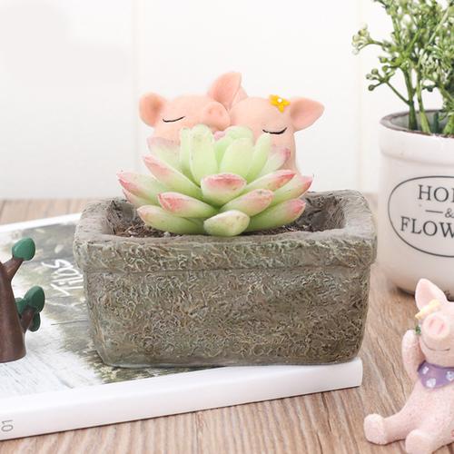 Cute Pig Romantic Couple Resin Succulent Pot - Deczo